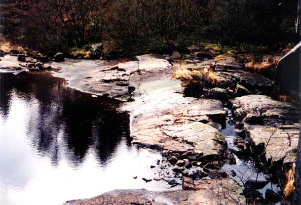 Return to the previous viewed page